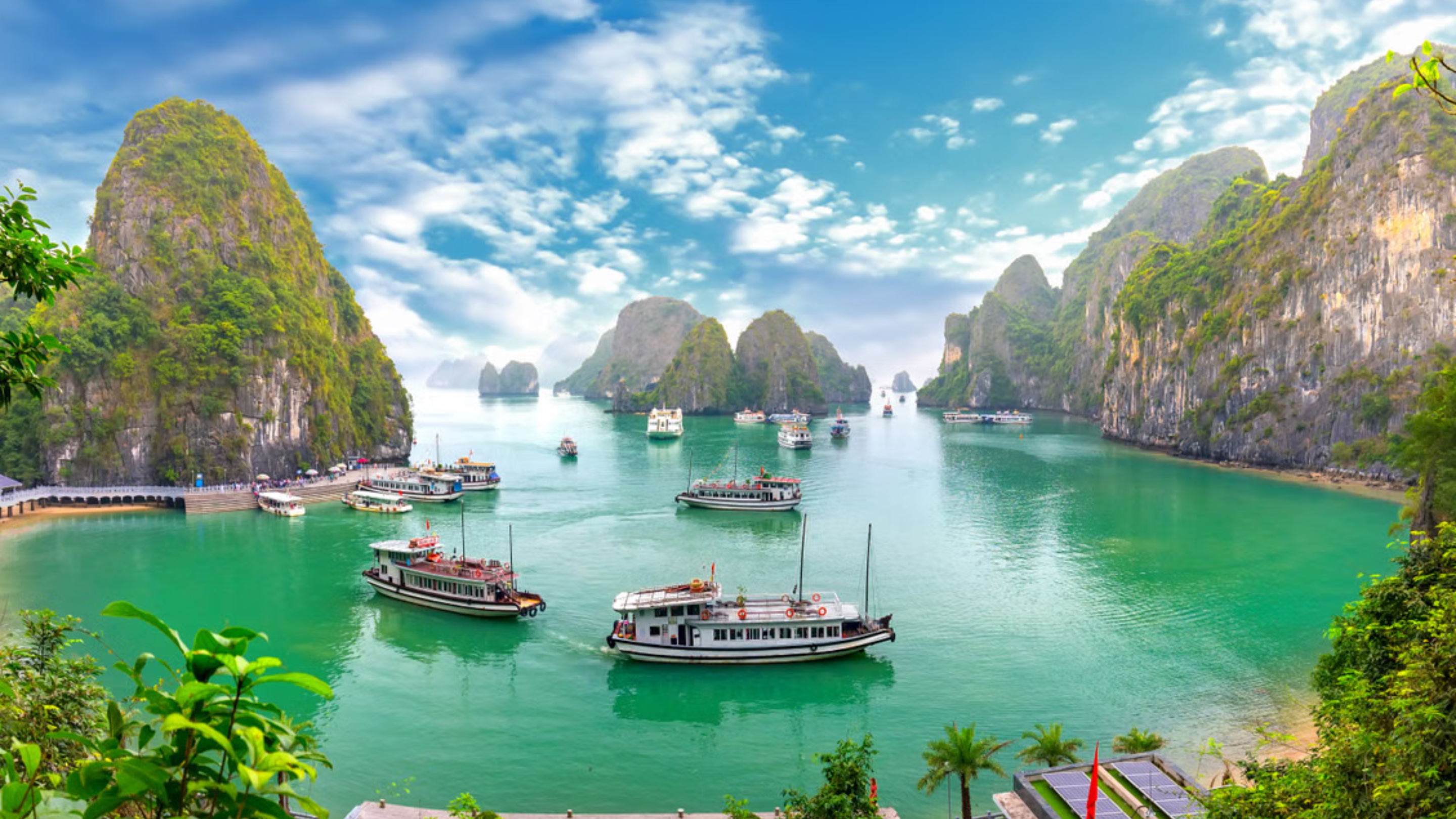 Vietnam Travel Guide - From Ha Long Bay to Mekong Delta